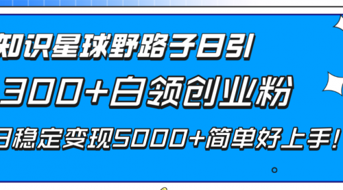 【副业项目8492期】知识星球野路子日引300+白领创业粉-齐力副业