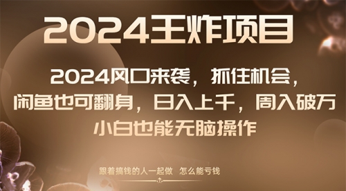 【副业项目8548期】2024闲鱼翻身项目，小白也可做-齐力副业