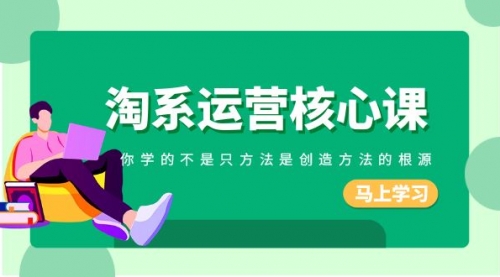 【副业项目8556期】淘系-运营核心课，你学的不是只方法是创造方法的根源-齐力副业