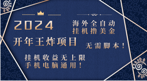 【副业项目8620期】2024海外撸美金项目！手机电脑均可-齐力副业