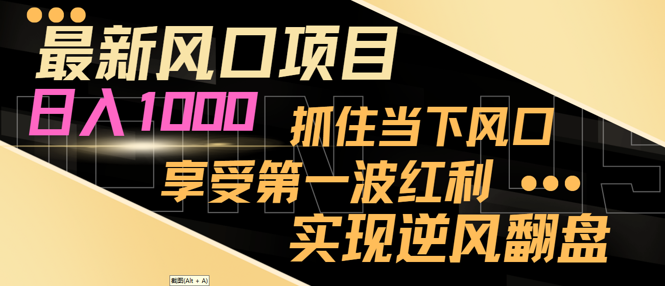 【副业8650期】最新风口项目，日入过千，抓住当下风口，享受第一波红利，实现逆风翻盘-齐力副业