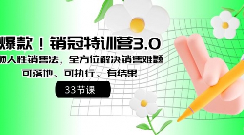 【副业8705期】销冠特训营3.0之顺人性销售法，全方位解决销售难题、可落地-齐力副业