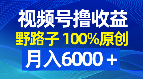 【副业8771期】视频号野路子撸收益，100%原创，条条爆款，月入6000＋-齐力副业