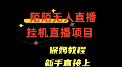 【副业8781期】陌陌无人直播，通道人数少，新手容易上手-齐力副业