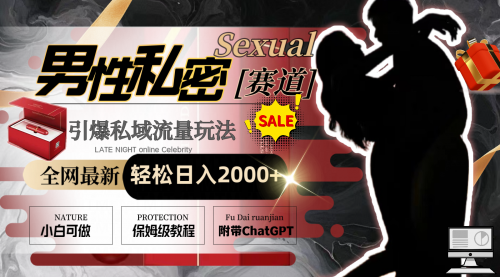 【副业8789期】全网最新男性私密赛道玩法，引爆私域流量，轻松日入2000+-齐力副业