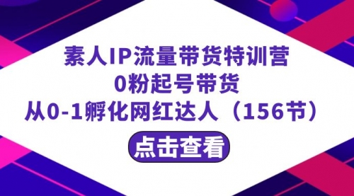 【副业8847期】繁星·计划素人IP流量带货特训营：0粉起号带货 从0-1孵化网红达人（156节）-齐力副业