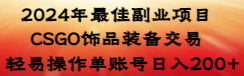 【副业8982期】2024年最佳副业项目 CSGO饰品装备交易 轻易操作单账号日入200+-齐力副业