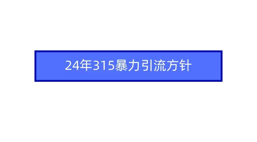 2024年315暴力引流方针-齐力副业