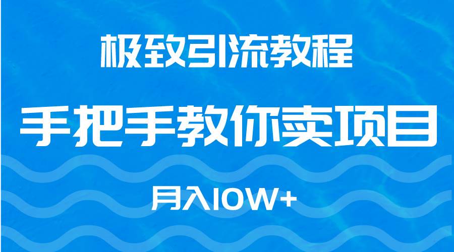 极致引流教程，手把手教你卖项目，月入10W+-齐力副业