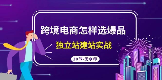 跨境电商怎样选爆品，独立站建站实战（20节高清无水印课）-齐力副业