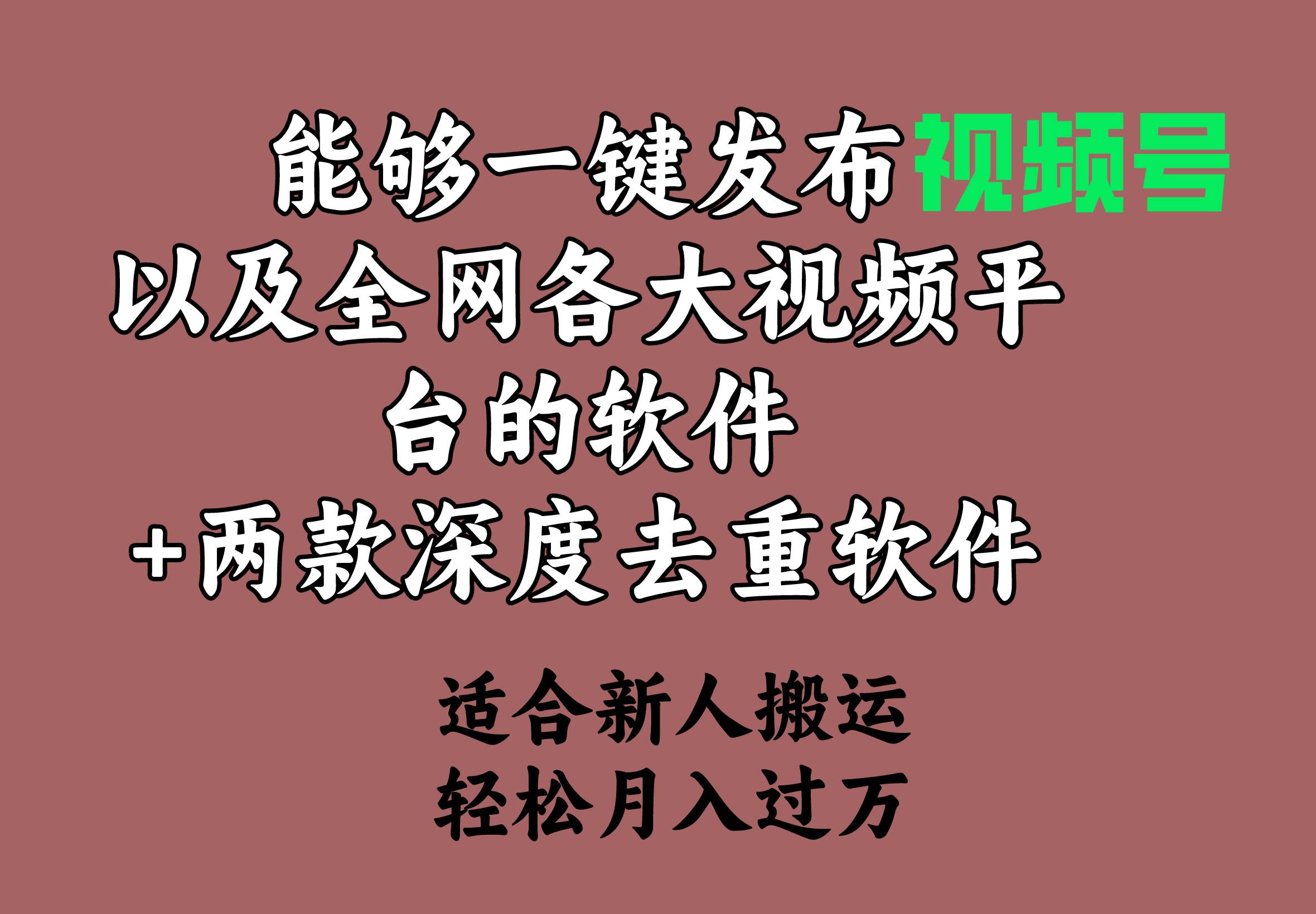 能够一键发布视频号以及全网各大视频平台的软件+两款深度去重软件 适合...-齐力副业