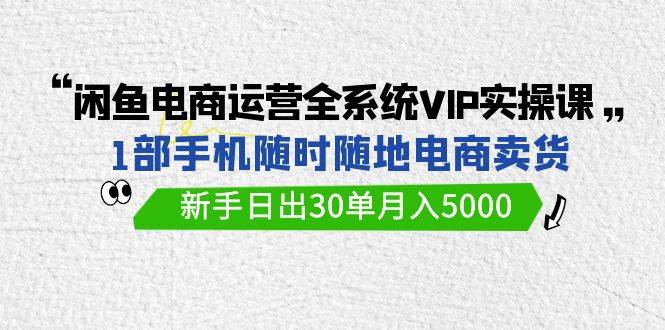 闲鱼电商运营全系统VIP实战课，1部手机随时随地卖货，新手日出30单月入5000-齐力副业