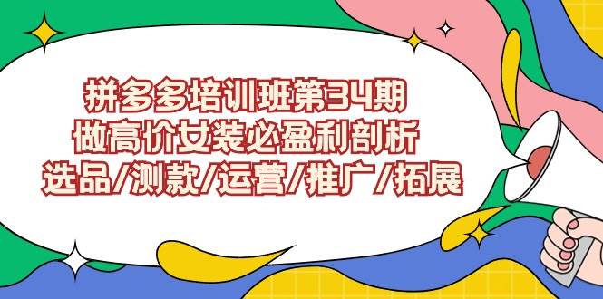 拼多多培训班第34期：做高价女装必盈利剖析  选品/测款/运营/推广/拓展-齐力副业