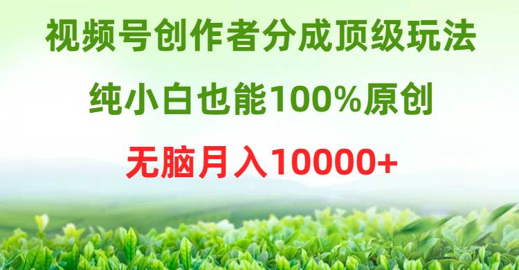 视频号创作者分成顶级玩法，纯小白也能100%原创，无脑月入10000+-齐力副业