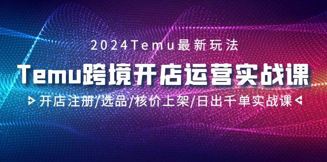2024Temu跨境开店运营实战课，开店注册/选品/核价上架/日出千单实战课-齐力副业