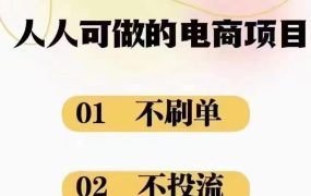2024最新淘宝无货源电商，新手小白操作简单，长期稳定项目，日500-2000+-齐力副业