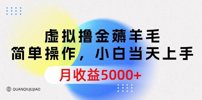 虚拟撸金薅羊毛，简单操作，小白当天上手，月收益5000+-齐力副业