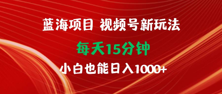 蓝海项目视频号新玩法 每天15分钟 小白也能日入1000+-齐力副业