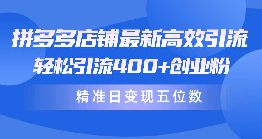 拼多多店铺最新高效引流术，轻松引流400+创业粉，精准日变现五位数！-齐力副业