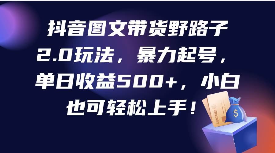 抖音图文带货野路子2.0玩法，暴力起号，单日收益500+，小白也可轻松上手！-齐力副业