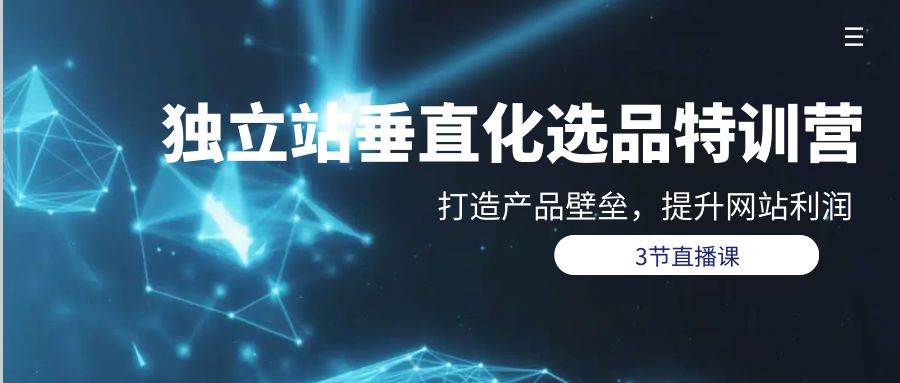 独立站-垂直化选品训练营，打造产品壁垒，提升网站利润（3节直播课）-齐力副业