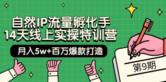 自然IP流量孵化手 14天线上实操特训营【第9期】月入5w+百万爆款打造 (74节)-齐力副业