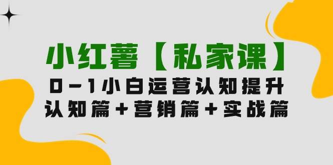 小红薯【私家课】0-1玩赚小红书内容营销，认知篇+营销篇+实战篇（11节课）-齐力副业