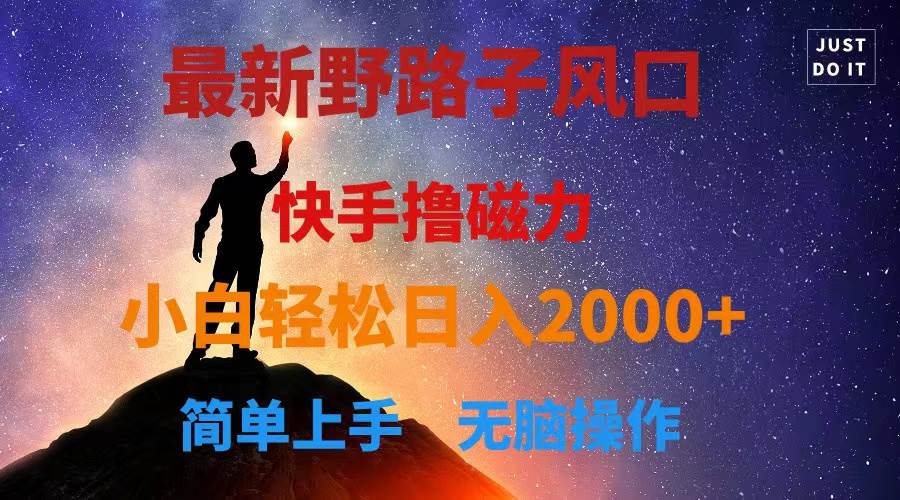 最新风口！快手撸磁力，野路子，小白无脑操作日入2000+-齐力副业