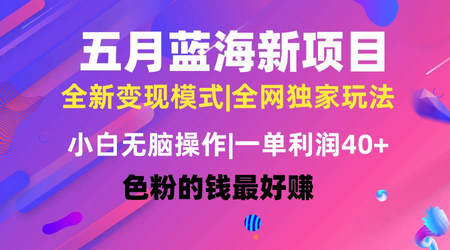 五月蓝海项目全新玩法，小白无脑操作，一天几分钟，矩阵操作，月入4万+-齐力副业