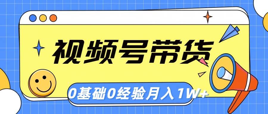 视频号轻创业带货，零基础，零经验，月入1w+-齐力副业
