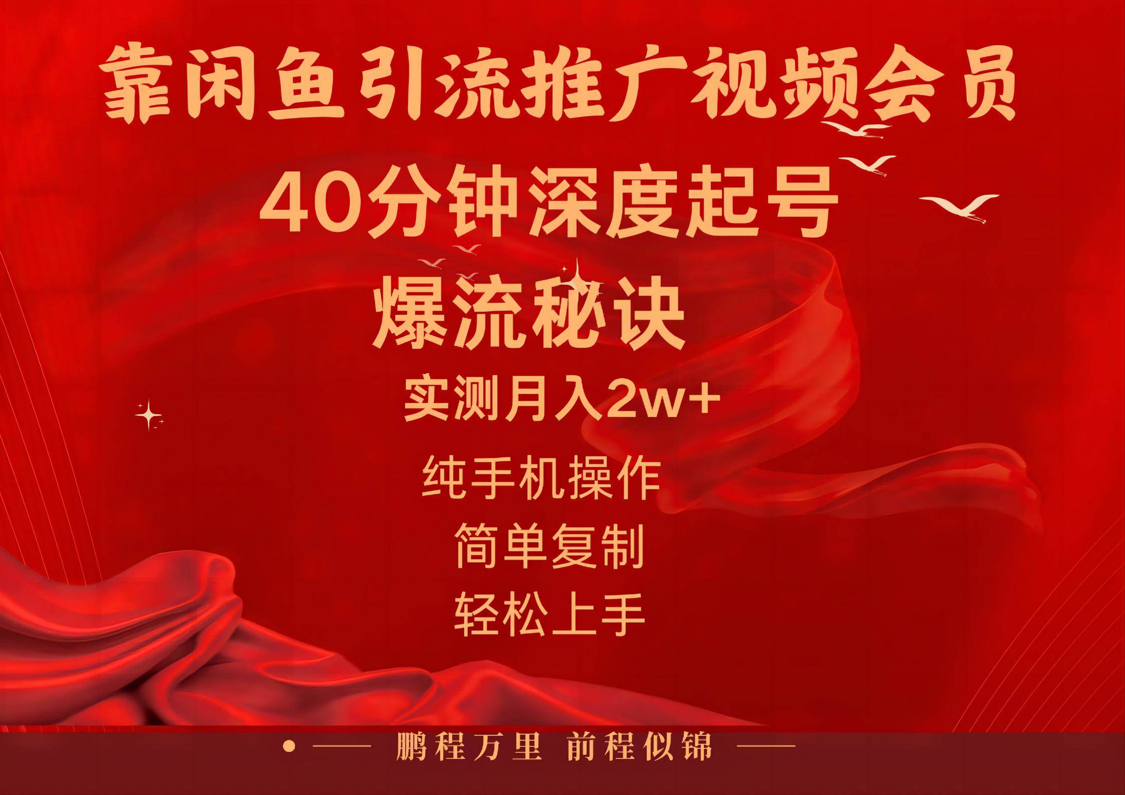闲鱼暴力引流推广视频会员，能做到日入2W+，操作简单-齐力副业