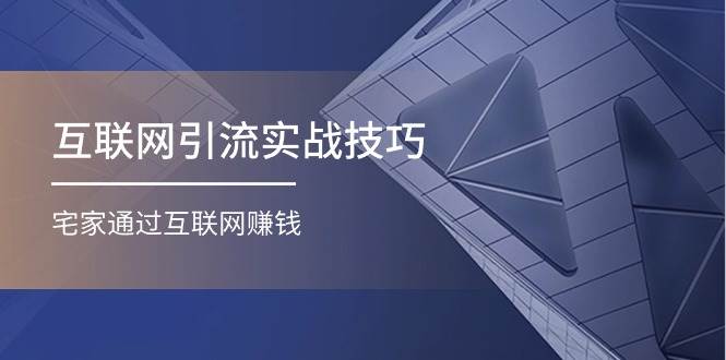互联网引流实操技巧(适合微商，吸引宝妈)，宅家通过互联网赚钱（17节）-齐力副业