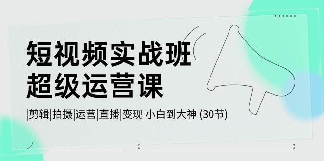 短视频实战班-超级运营课，|剪辑|拍摄|运营|直播|变现 小白到大神 (30节)-齐力副业