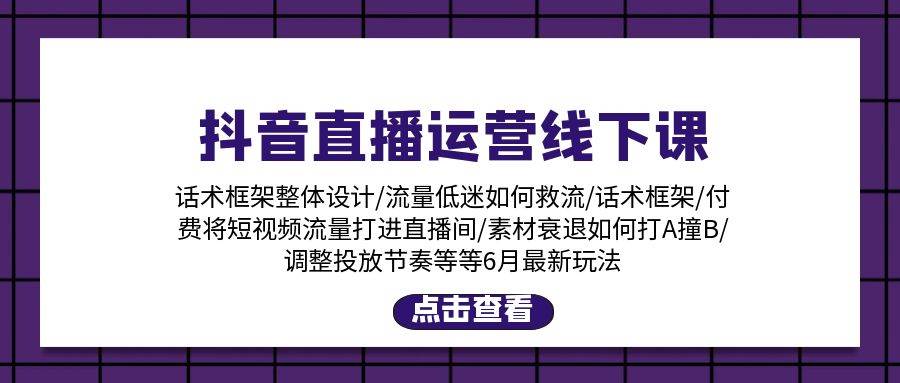 抖音直播运营线下课：话术框架/付费流量直播间/素材A撞B/等6月新玩法-齐力副业