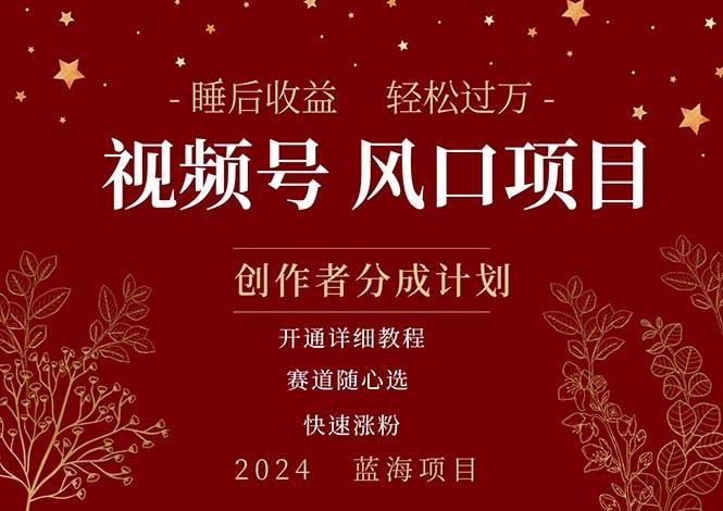 拥有睡眠收益的微信视频号大风口项目，轻松月入过万+，多赛道选择，可…-齐力副业