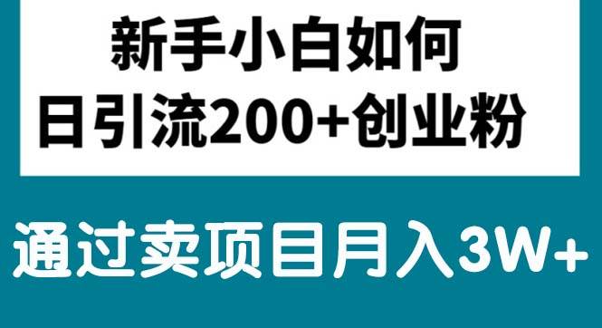 新手小白日引流200+创业粉,通过卖项目月入3W+-齐力副业