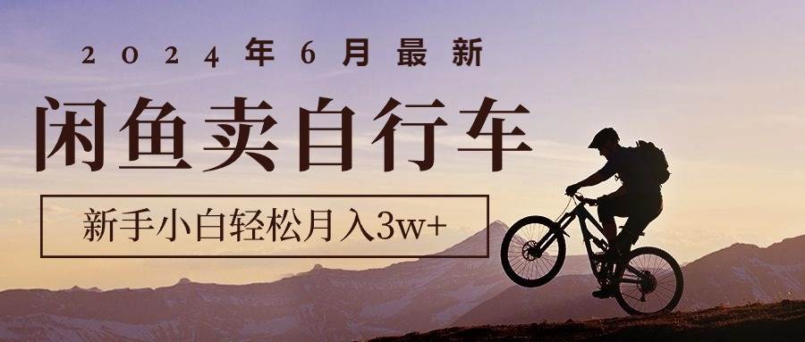 2024年6月最新闲鱼卖自行车，新手小白轻松月入3w+项目-齐力副业