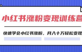 2024小红书涨粉变现训练营，快速学会小红书涨粉，月入十万轻松变现(40节)-齐力副业