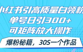 小红书引高质量白领粉，单号日引300+，可放大操作，爆粉秘籍！30s一个作品-齐力副业