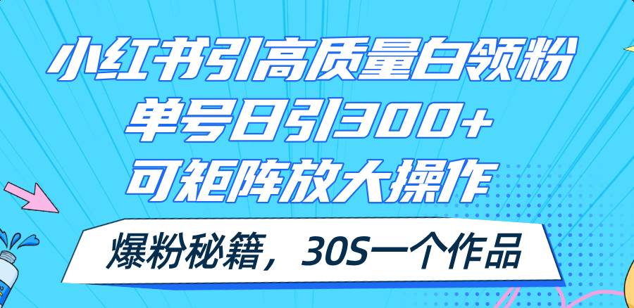 小红书引高质量白领粉，单号日引300+，可放大操作，爆粉秘籍！30s一个作品-齐力副业
