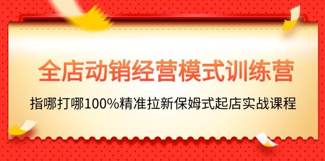 全店动销-经营模式训练营，指哪打哪100%精准拉新保姆式起店实战课程-齐力副业