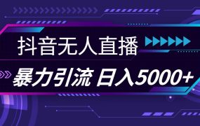抖音无人直播，暴利引流，日入5000+-齐力副业