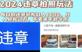2024违章拍照新玩法，推广躺赚+拍照赚钱双模式，日入1000+-齐力副业