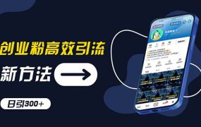 创业粉高效引流，抖音工具号玩法，日引300+，不要成为学习高手，要成为...-齐力副业