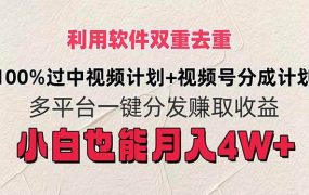 利用软件双重去重，100%过中视频+视频号分成计划小白也可以月入4W+-齐力副业