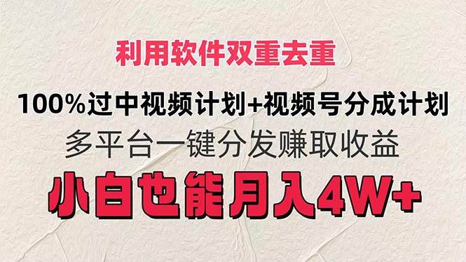利用软件双重去重，100%过中视频+视频号分成计划小白也可以月入4W+-齐力副业