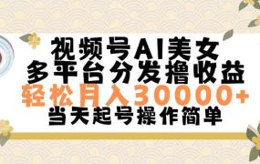 视频号AI美女，轻松月入30000+,操作简单轻松上手-齐力副业