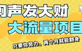 闷声发大财，大流量项目，月收益过3万，只要你努力，两个月就能翻身-齐力副业