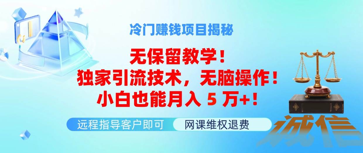 冷门赚钱项目无保留教学！独家引流技术，无脑操作！小白也能月入5万+！-齐力副业