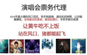 演唱会全网最低票务代理，小白一分钟上手，手把手教你卖票，日入2000+...-齐力副业